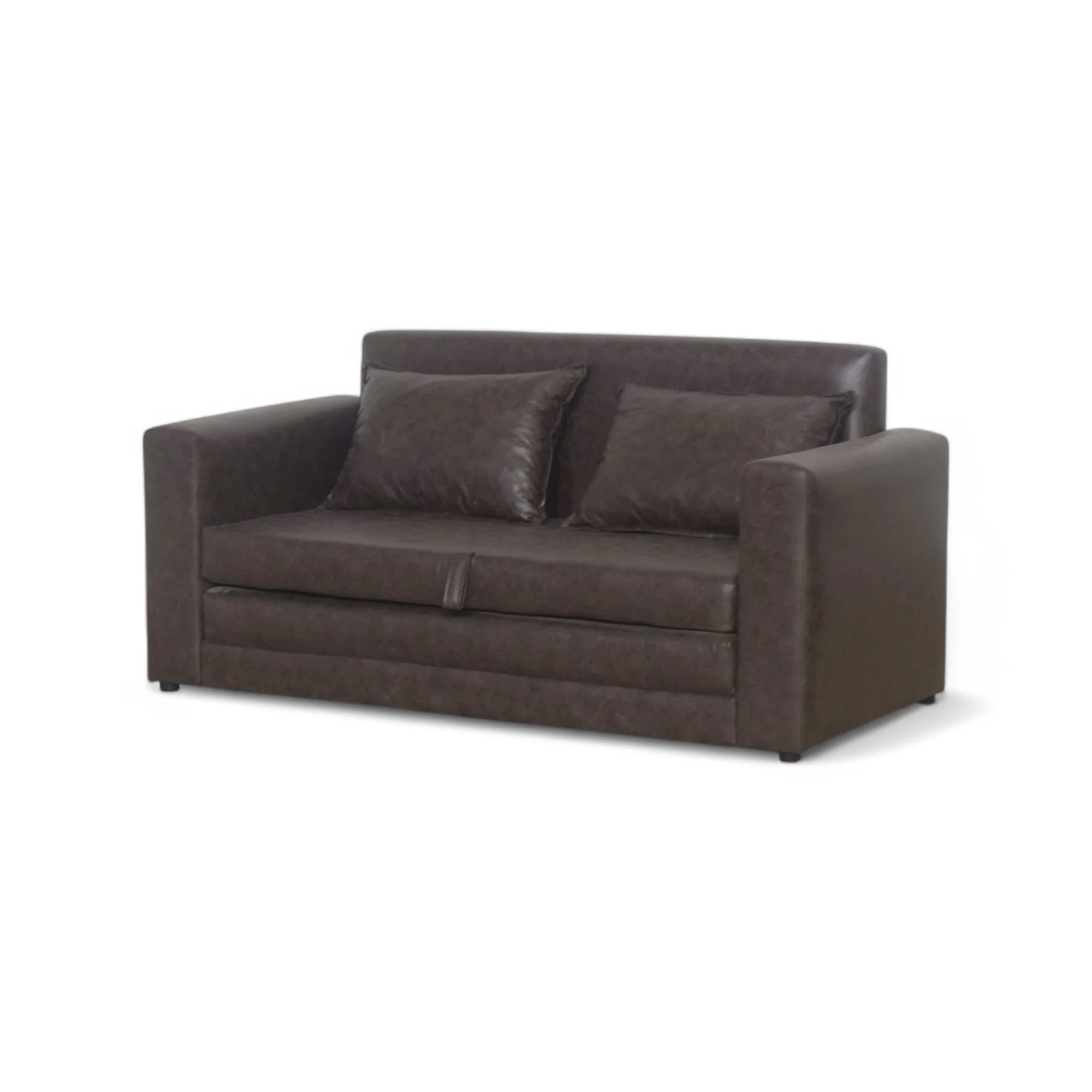 Blossom Sleeper Couch