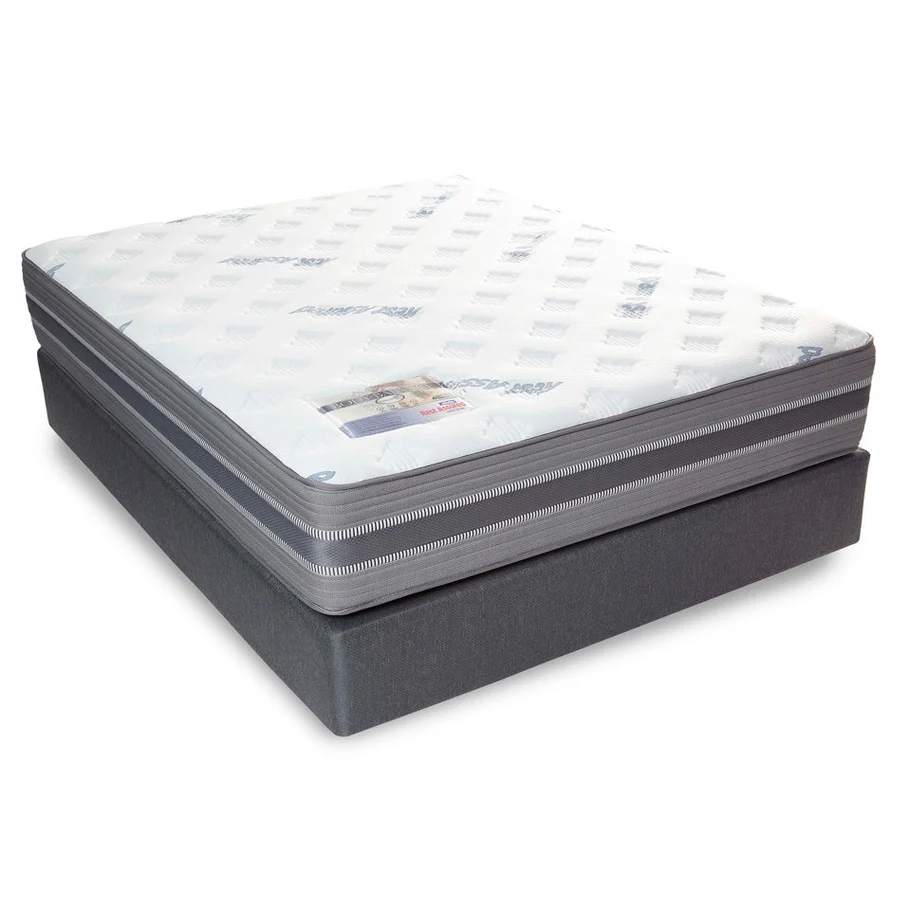 Rest Assured BODY-ZONE NT PT Double Mattress & MJ Base